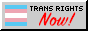 trans rights now! button